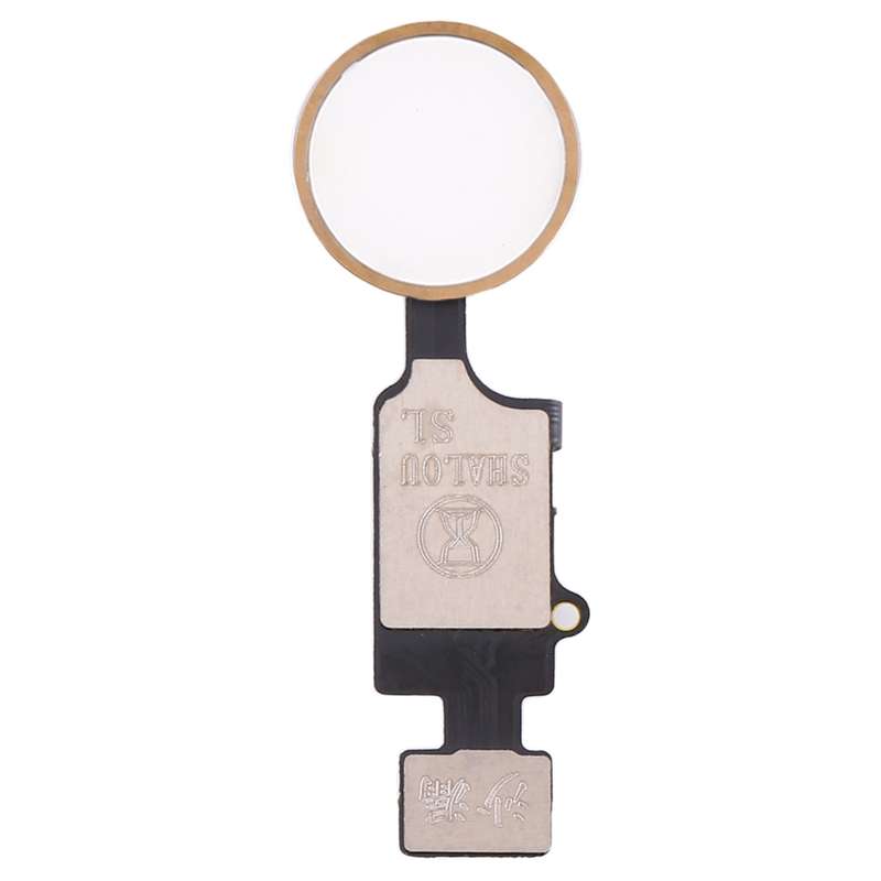 Home Button (5th gen) with Flex Cable for iPhone 8 Plus / 7 Plus / 8 / 7 (White)