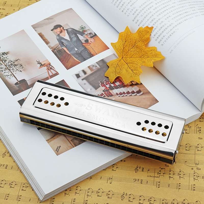 Swan SW24-12A 24-holes Double-sided Harmonica Beginner Polyphony Box Adult Children Beginners Perfor
