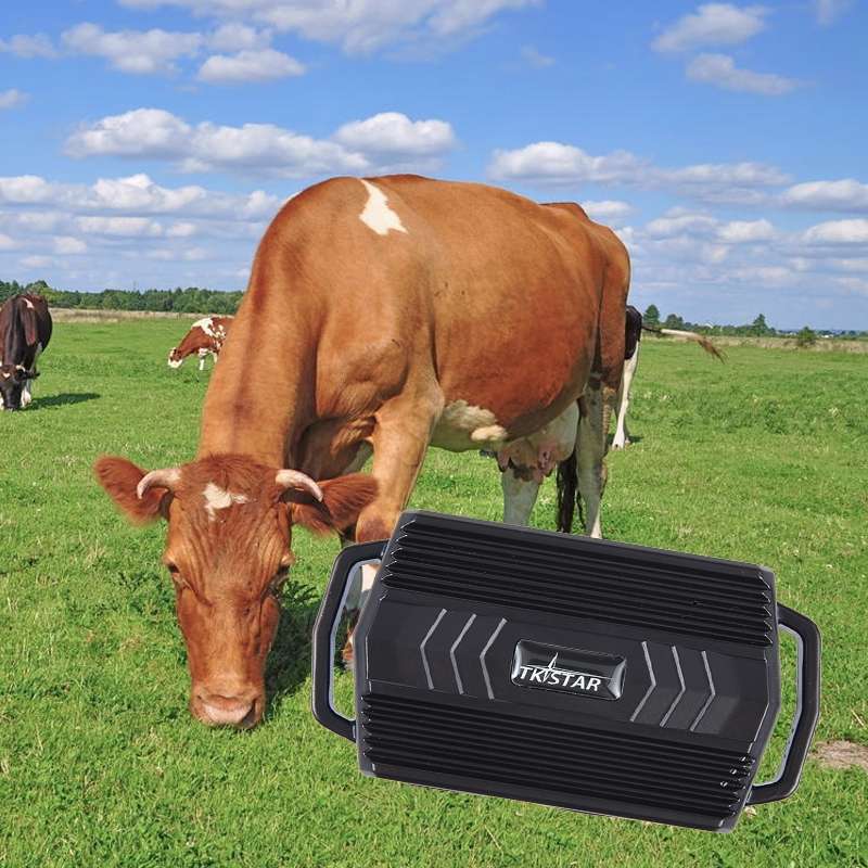 TKSTAR TK935 3000mAh GPS Pet Livestock Car Tracker IP65 Level Waterproof Locator(Black)