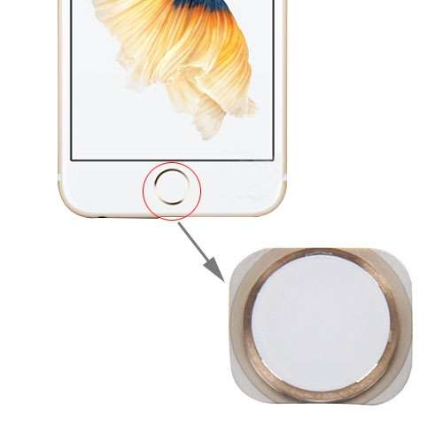 Home Button for iPhone 6s Plus(Gold)
