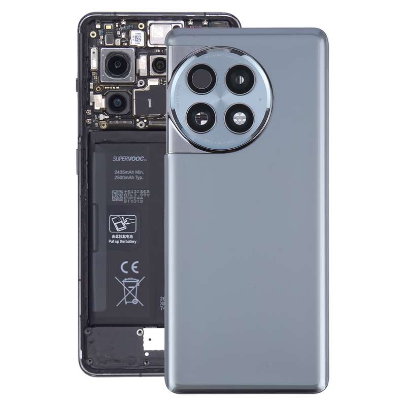 For OnePlus Ace 2 Pro PJA110 Original Glass Battery Back Cover with Camera Lens(Green)