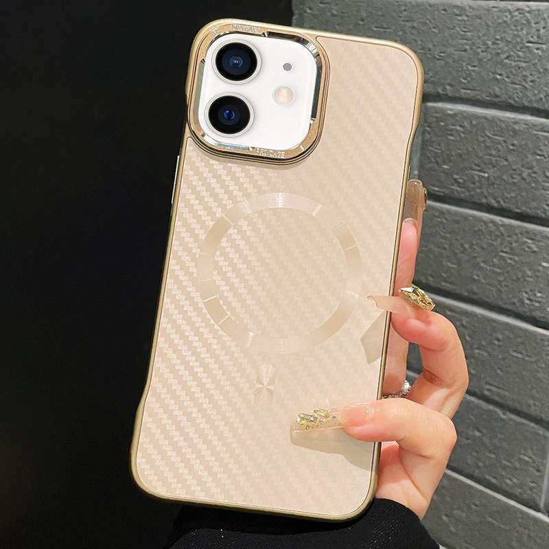 For iPhone 11 AG Carbon Fiber Frameless MagSafe Phone Case(Black)