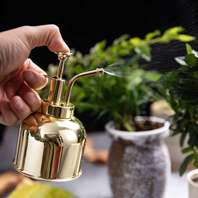 Vintage Brass Gardening Meaty Small Watering Can (Gold)