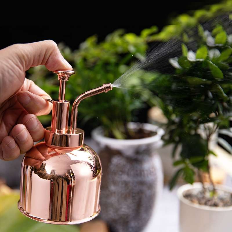 Vintage Brass Gardening Meaty Small Watering Can (Gold)