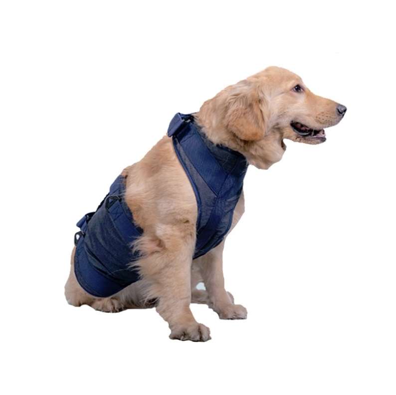 Pet Leash Senior Dogs Walking Aids Chest Harness, Size: S(Dark Blue)