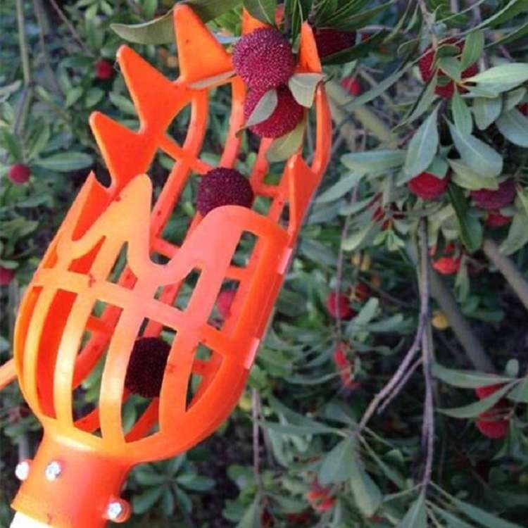 Plum Date Apricot Pick Fruit Plastic Tool(White)
