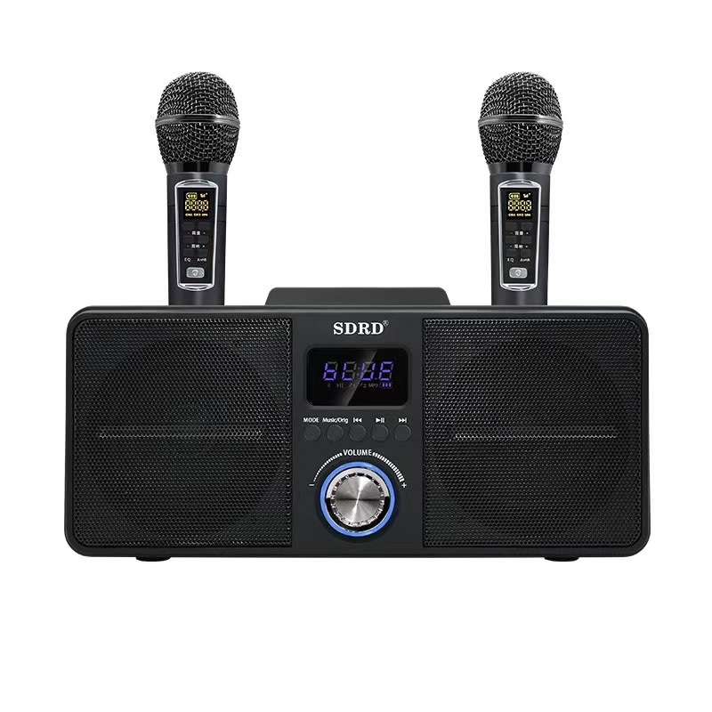SDRD SD309 Wireless Microphone Bluetooth Audio All-In-One Machine(Black)