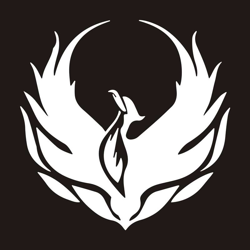 4 PCS Car Personality Decals Electric Car Stickers Decoration Fire Phoenix Totem(Black)