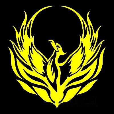 4 PCS Car Personality Decals Electric Car Stickers Decoration Fire Phoenix Totem(Black)
