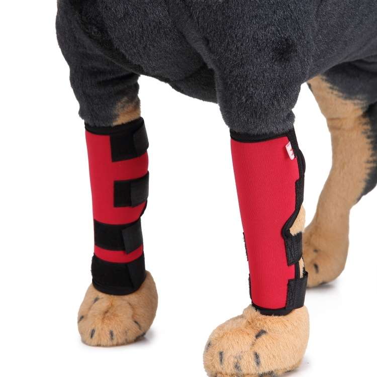 Pet Knee Pads Dog Leg Guards Pet Protective Gear Surgery Injury Sheath, Size: M(HJ11 Reflective Red)