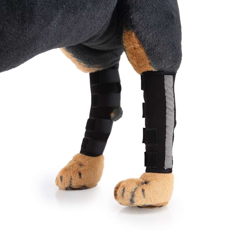 Pet Knee Pads Dog Leg Guards Pet Protective Gear Surgery Injury Sheath, Size: L(HJ29 Reflective With