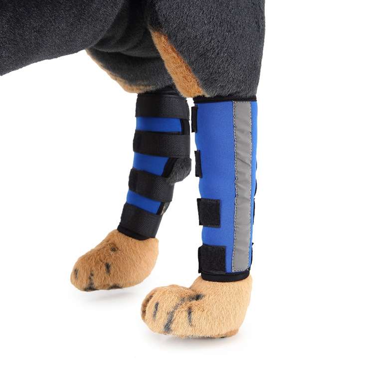 Pet Knee Pads Dog Leg Guards Pet Protective Gear Surgery Injury Sheath, Size: L(HJ29 Reflective With