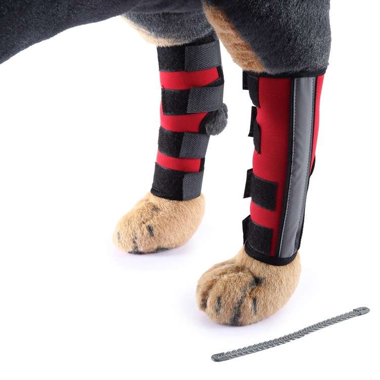 Pet Knee Pads Dog Leg Guards Pet Protective Gear Surgery Injury Sheath, Size: L(HJ29 Reflective With