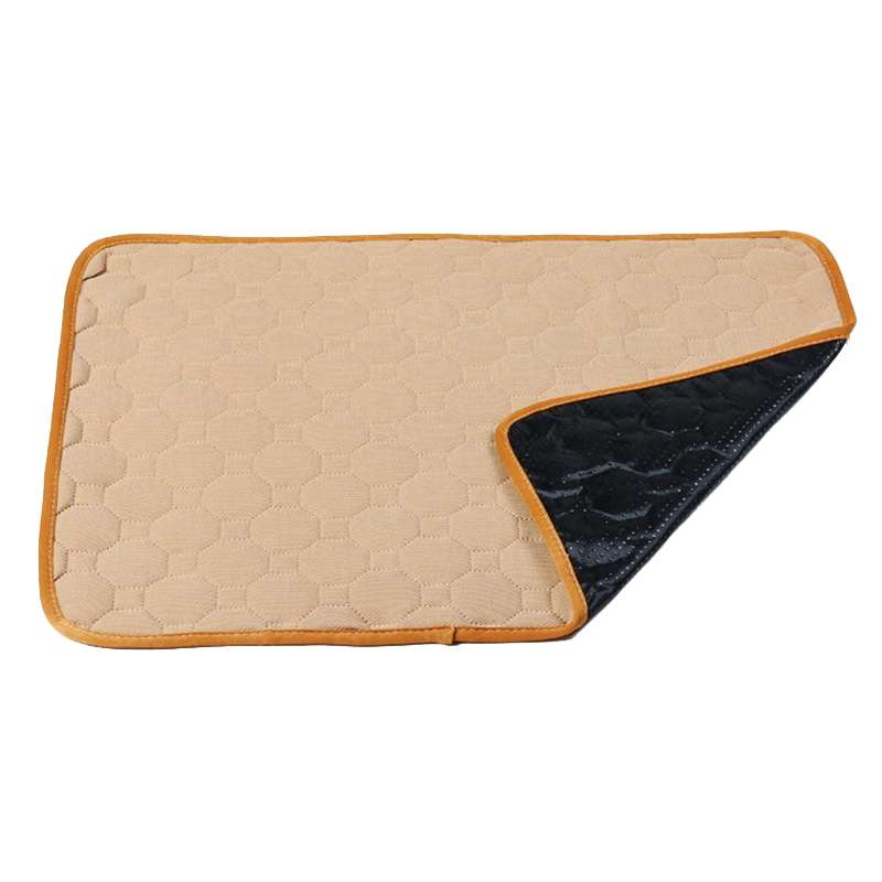 2 PCS 50x40cm Car Pet Injection Pad Waterproof Pad Cat Dog Sofa Waterproof Diapholic Carpet Water Ab
