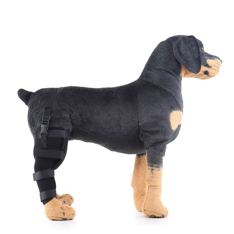 HJ19 Pet Surgery Rehabilitation Back Leg Protector Walking Aids, Size: L(Black Left Back Leg)