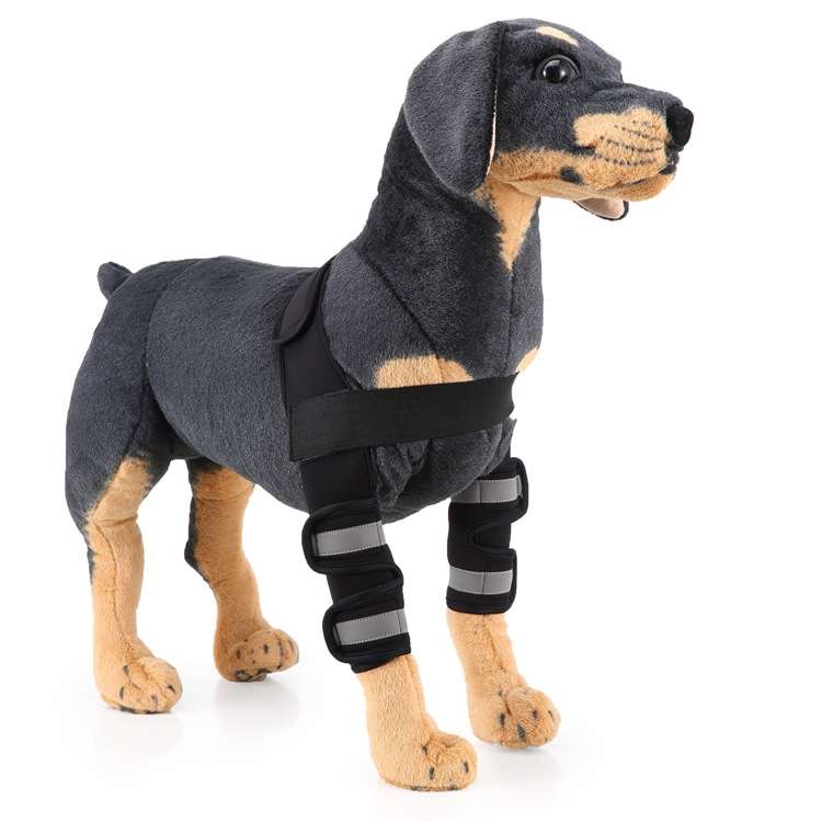 Pet Dog Leg Knee Guard Surgery Injury Protective Cover, Size: M(Support Strips Model (Black))
