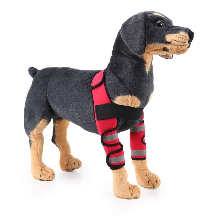 Pet Dog Leg Knee Guard Surgery Injury Protective Cover, Size: M(Support Strips Model (Black))