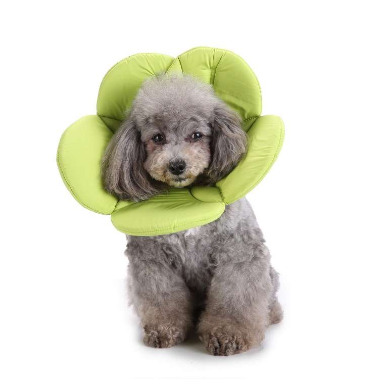 Pet Protection Collar Dog Flower Protection Collar, Specification: M(Rainbow)