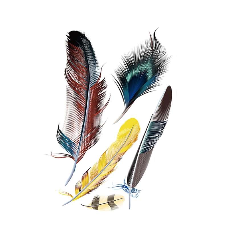 5 Sets Car 3D Feather Body Sticker Scratch Blocking Sticker(Black Feathers)