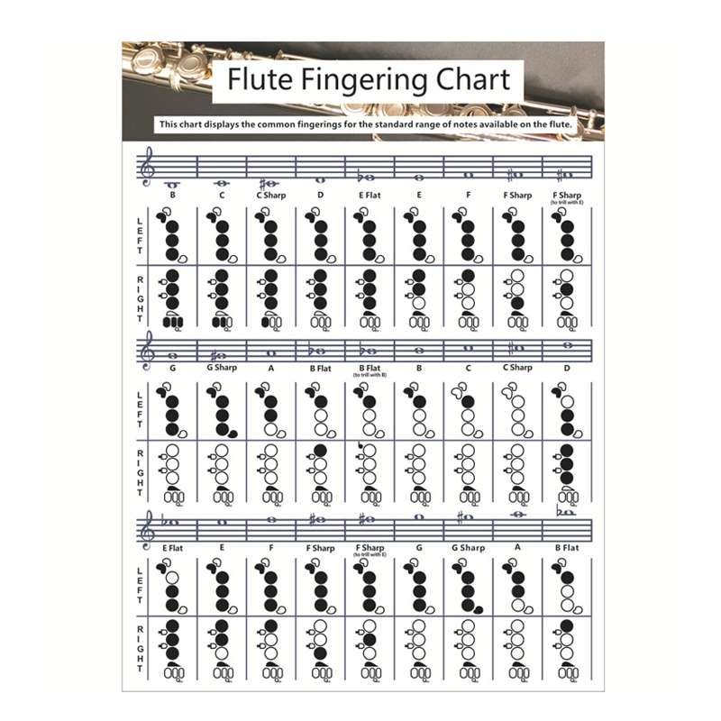 Coated Paper Flute Chord Fingering Practice Chart Staff Chord Fingering(Large)