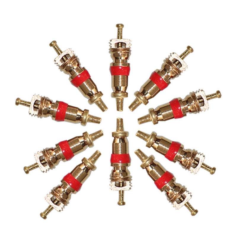 10pcs /Set Valve Core Gas Needle Car Tires Universal Vacuum Tire Exhaust Valve(Pure Copper)
