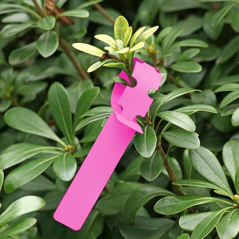 100 PCS Gardening Plant Sapling Seed Hanging Tree Label(White)