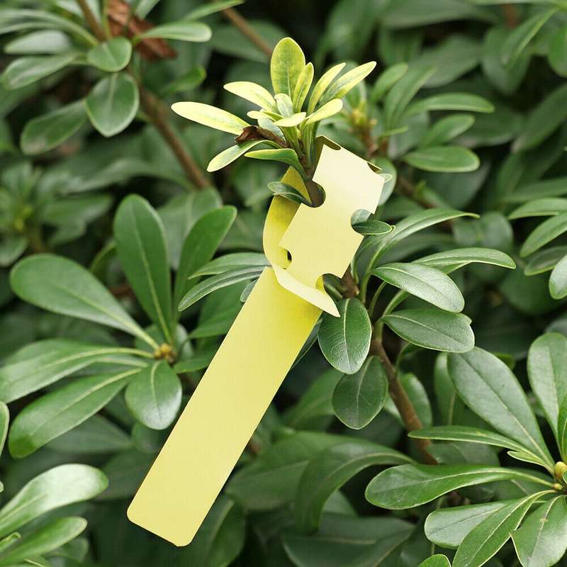 100 PCS Gardening Plant Sapling Seed Hanging Tree Label(White)