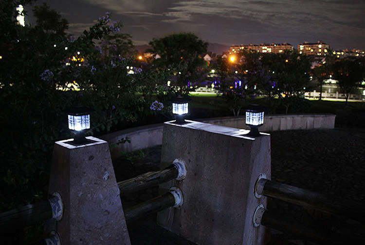 Solar Power 3 White LED Waterproof Light Garden Lawn Landscape Decoration Lamp