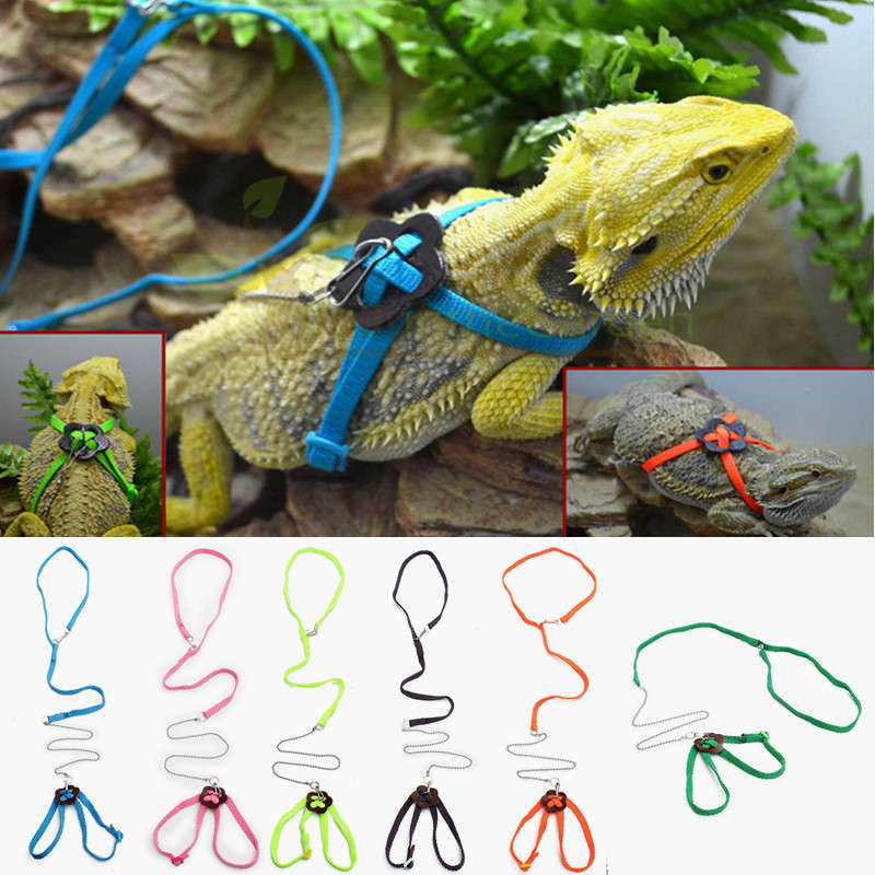 Adjustable Multicolor Soft Fashion Pet Reptile Birds Lizard Harness Leashes