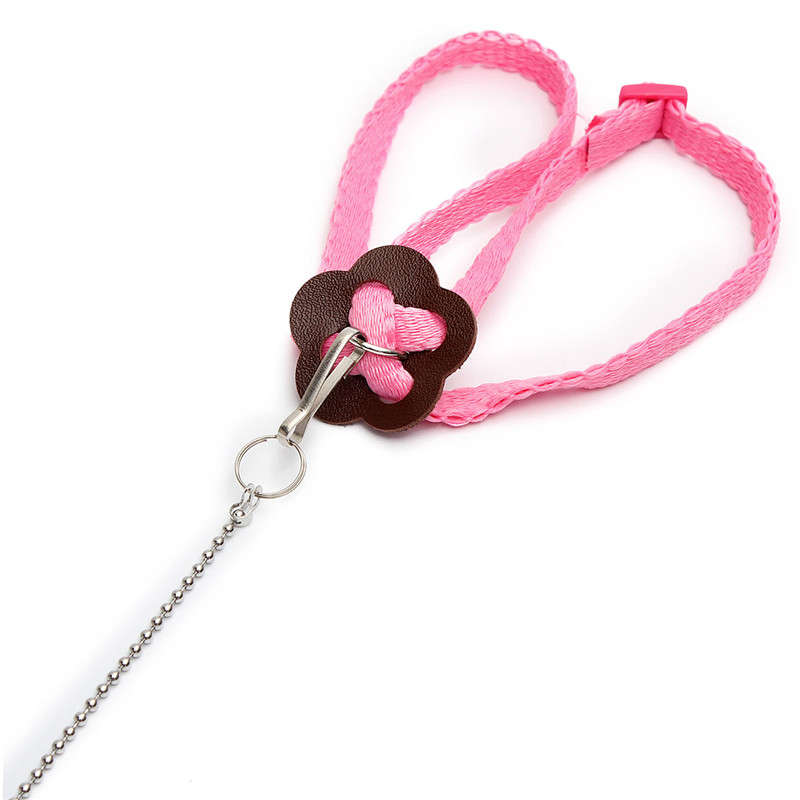 Adjustable Multicolor Soft Fashion Pet Reptile Birds Lizard Harness Leashes
