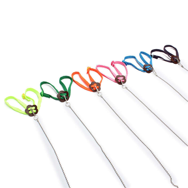 Adjustable Multicolor Soft Fashion Pet Reptile Birds Lizard Harness Leashes