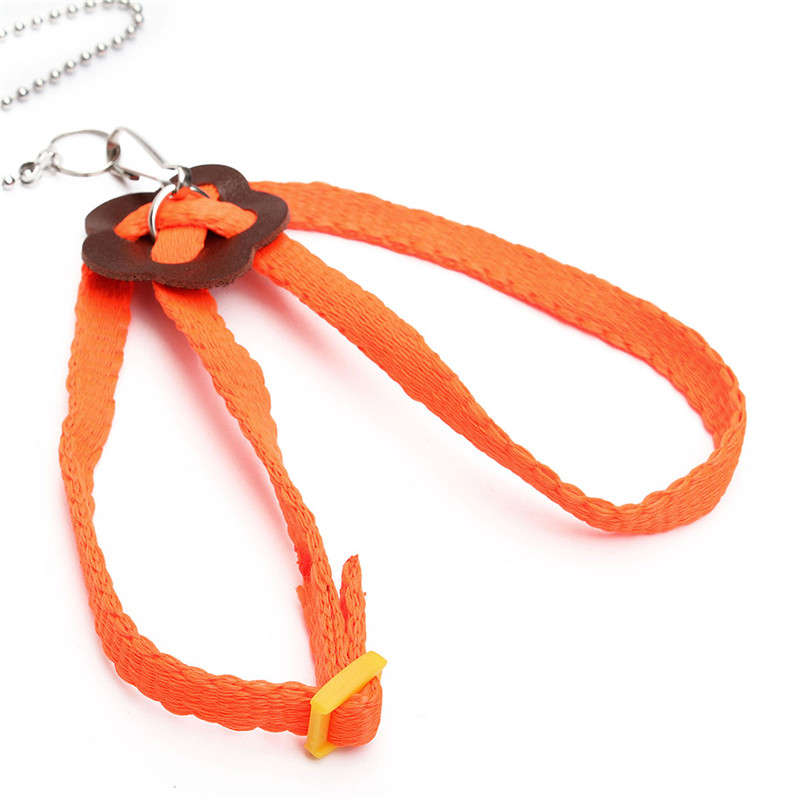 Adjustable Multicolor Soft Fashion Pet Reptile Birds Lizard Harness Leashes