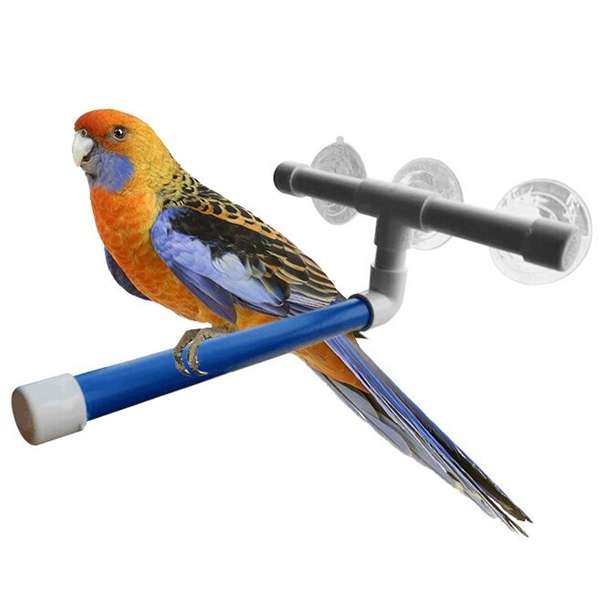 Folding Pet Birds Wall Suction Cup Toys Stand Shower Paw Grinding  Perches Parrot Budgie