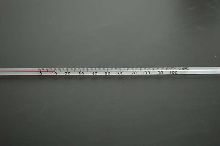 0-100 Degree Glass Thermometer Home Brew Laboratory Red Water Filled Thermometer