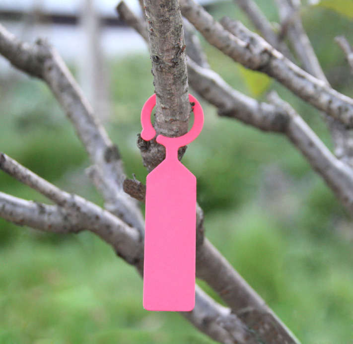 ring hanging garden flower plant label