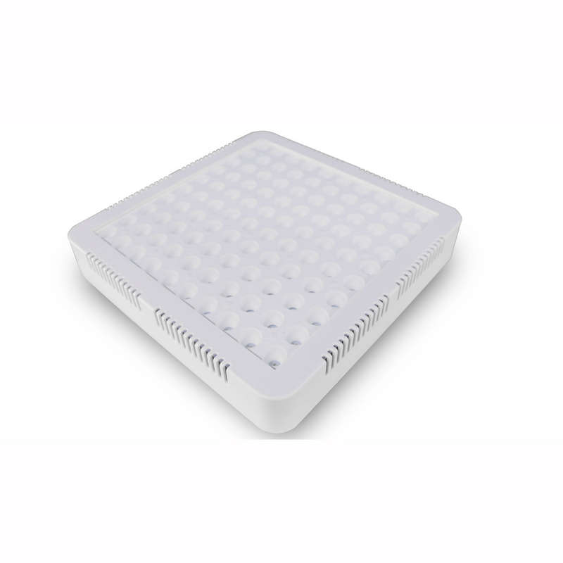 Grow Light 300W Garden Planting Grow Light Full Spectrum Growth Lamp for Greenhouse Bonsai Lighting