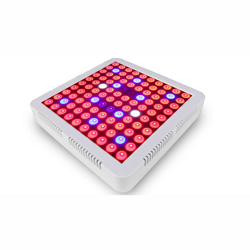Grow Light 300W Garden Planting Grow Light Full Spectrum Growth Lamp for Greenhouse Bonsai Lighting