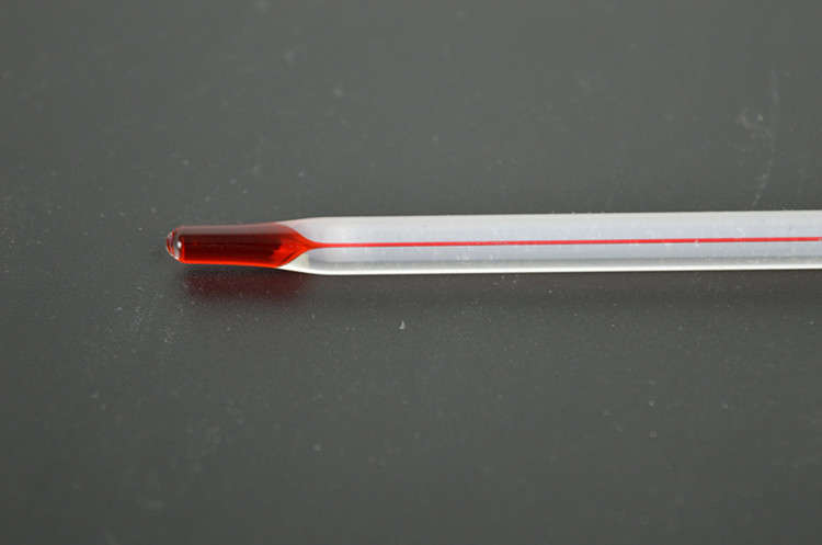 0-100 Degree Glass Thermometer Home Brew Laboratory Red Water Filled Thermometer