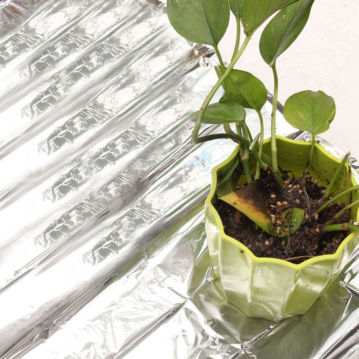 Plant Reflection Film