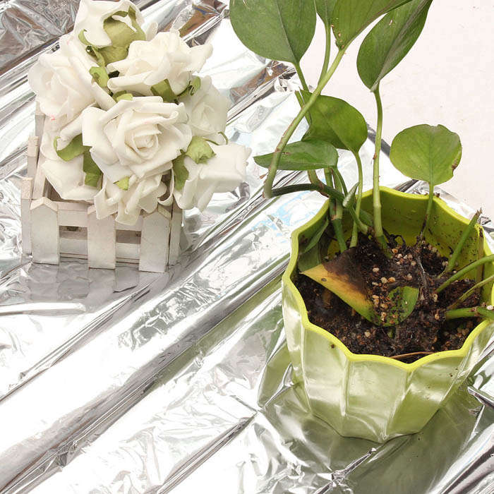 Plant Reflection Film