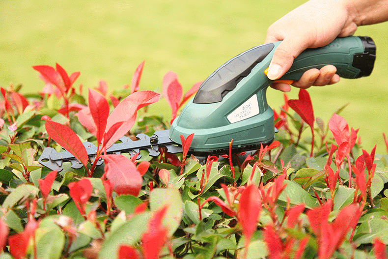 garden lawnmower