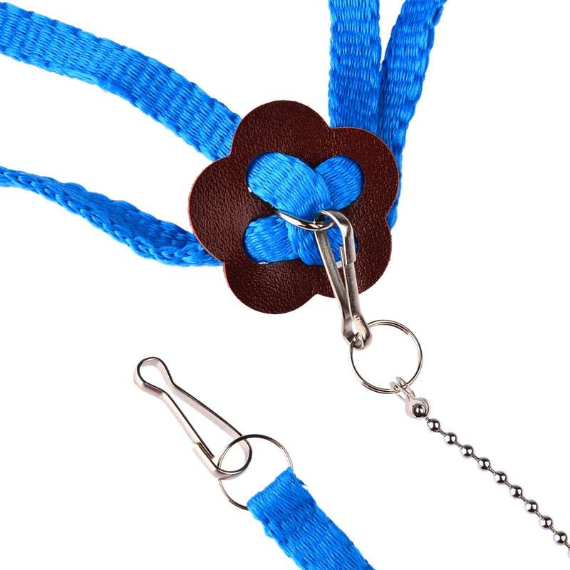 Adjustable Multicolor Soft Fashion Pet Reptile Birds Lizard Harness Leashes