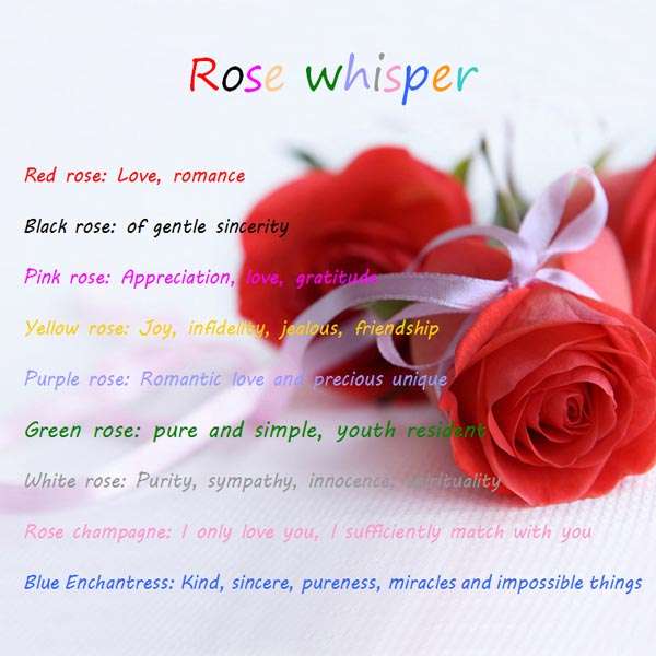Black Rose Seeds