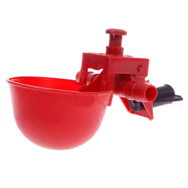 Automatic Feed Poultry Water Drinking Cup Chicken Drinker
