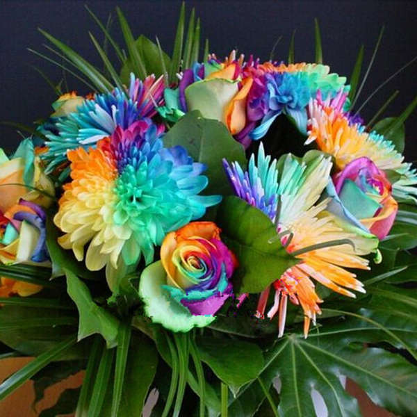 Flower Seeds Combination Rainbow Rose Chrysanthemum Meteor Shower Rose Home Garden Seeds