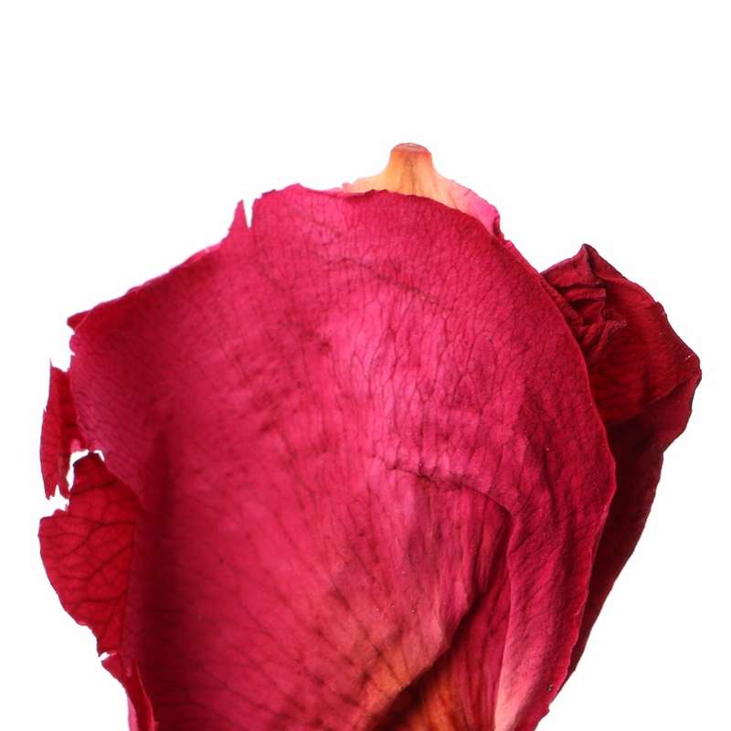 Dried Rose Petals Natural Flower Spa Whitening Shower Dry Rose Natural Flower Petal Bath Relieve Fra