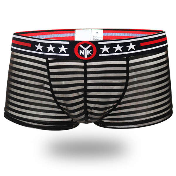 Mens Sexy Low Waist Transparent Stripes Mesh Breathable Thin Boxers Underwear