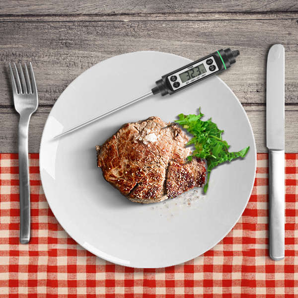 KCASA KC-TP500 Pen Shape High-performing Instant Read Digital BBQ Cooking Meat Food Thermometer