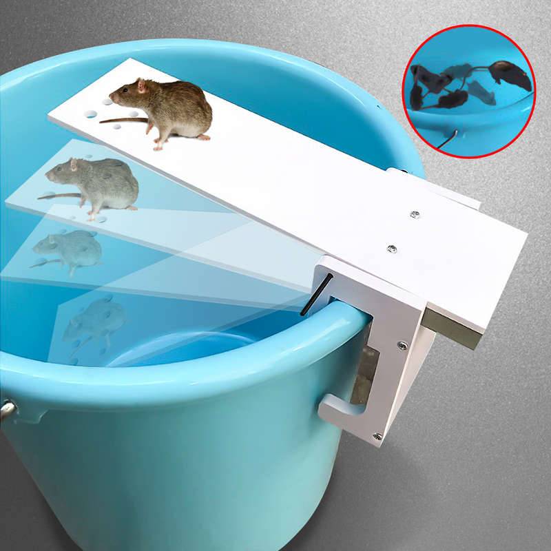 Walk the Plank Mouse Trap Humane Bucket Rat Traps Automatic Reset Mouse Trap For Mice Rats Rodents