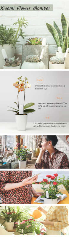 [Global Version] Flora 4 In 1 Flower Plant Light Temperature Tester Garden Nutrient Monitor Tools Kit from xiaoimi youpin